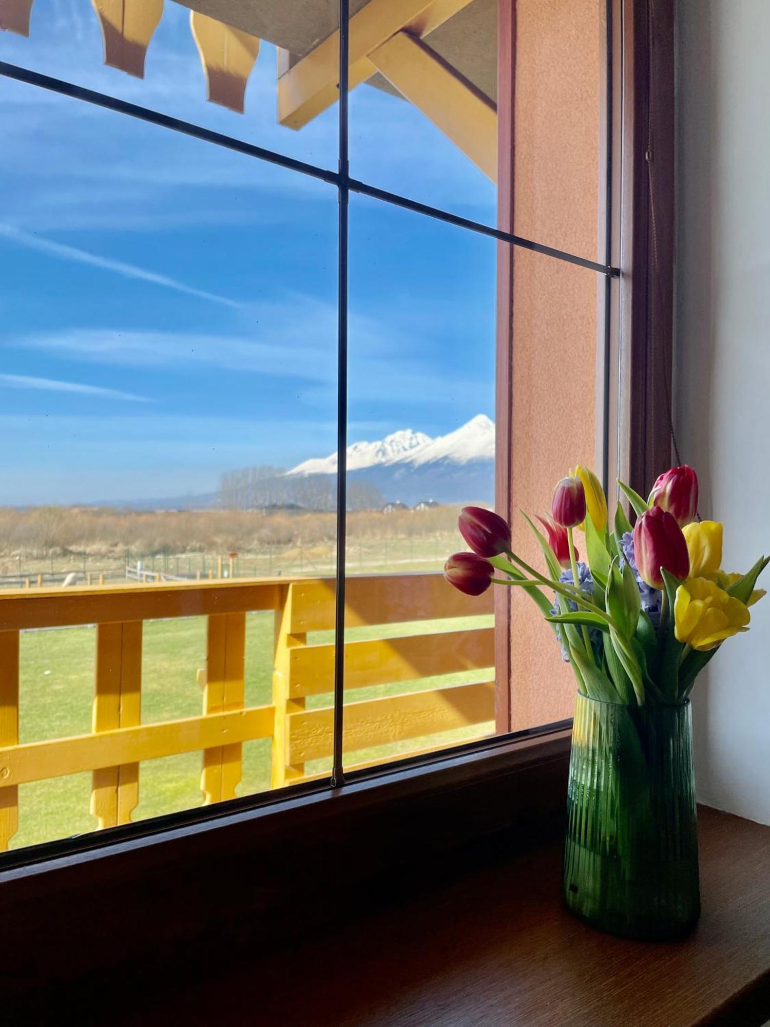 Apartment Kimo - Stunning View Of High Tatras 韦尔卡鲁穆尼卡 外观 照片